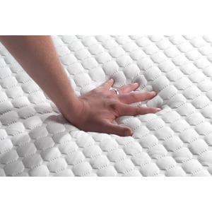 SleepSoul Paradise Single Mattress (25CM Thickness)-12